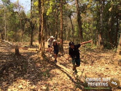 Wonderful 3-days/2-nights trekking | Chiang Mai Trekking | The best trekking in Chiang Mai with Piroon Nantaya